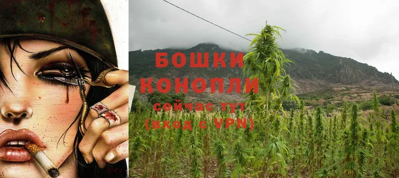 Конопля White Widow  купить   Мышкин 